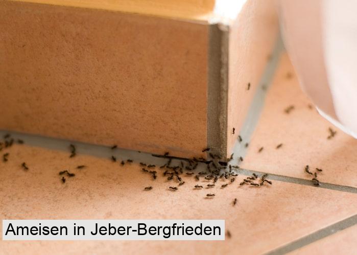 Ameisen in Jeber-Bergfrieden
